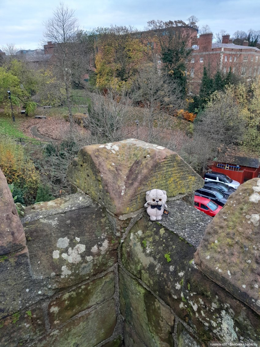 Басики путешествуют по Англии