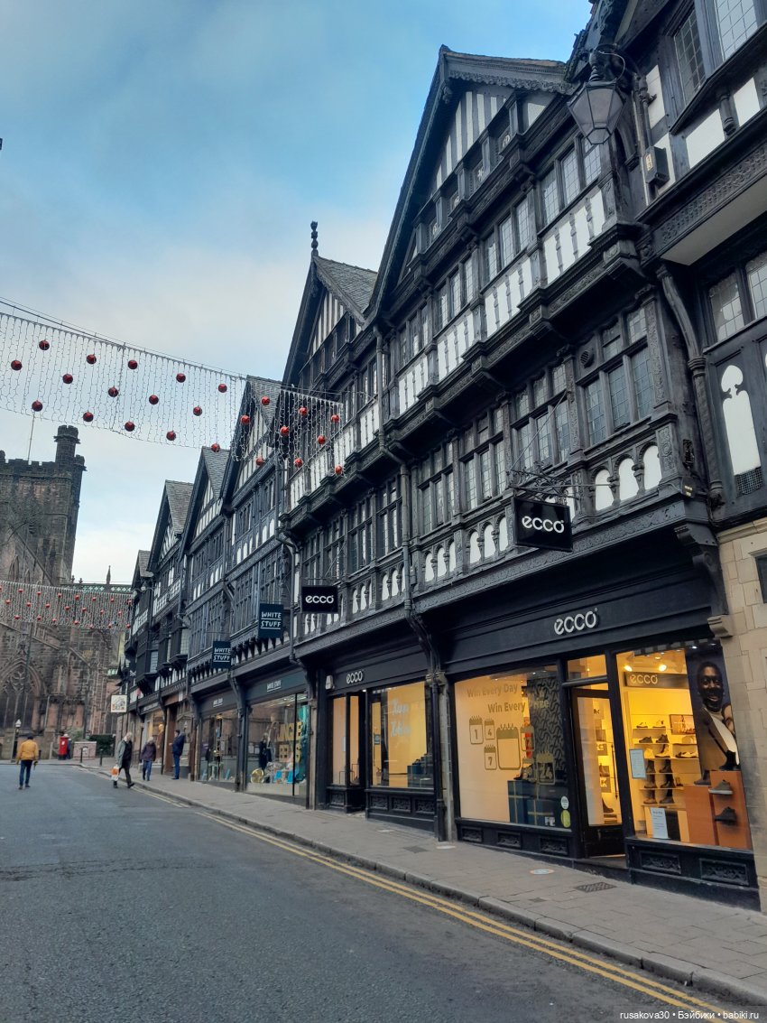 Продолжаем путешествовать с Басиками (фото 3)