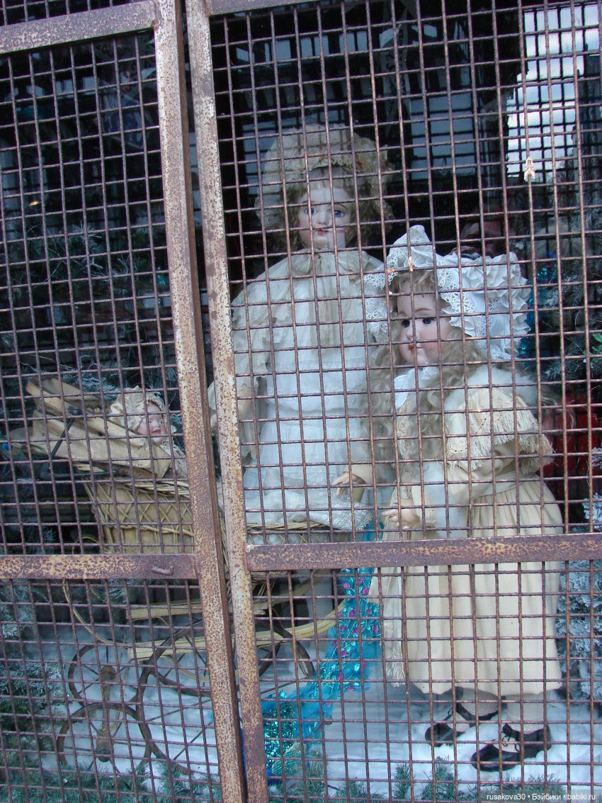 Продолжаем путешествовать с Басиками (фото 8)