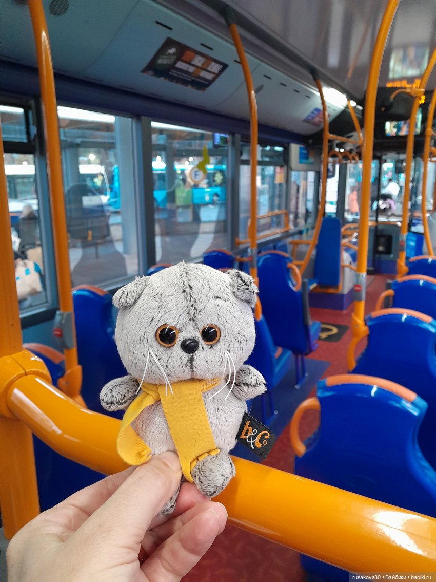 Продолжаем путешествовать с Басиками