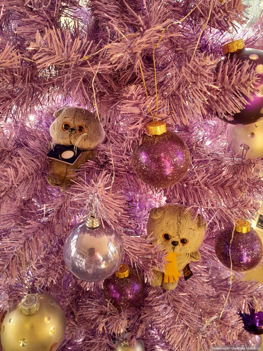 Продолжаем путешествовать с Басиками