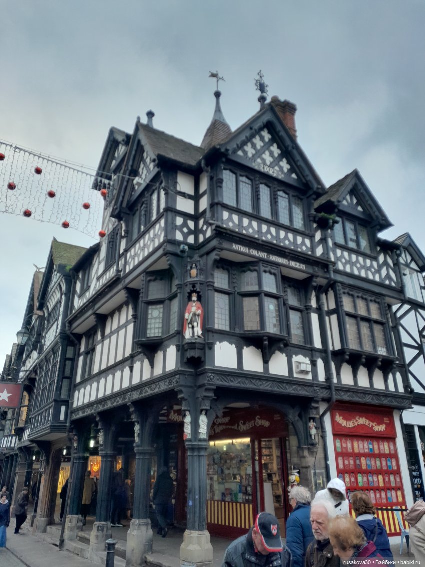 Продолжаем путешествовать с Басиками (фото 4)