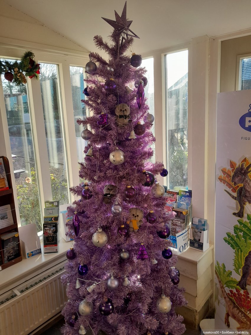 Продолжаем путешествовать с Басиками