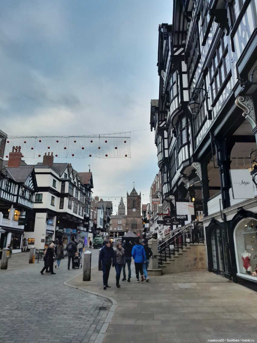 Продолжаем путешествовать с Басиками (фото 2)