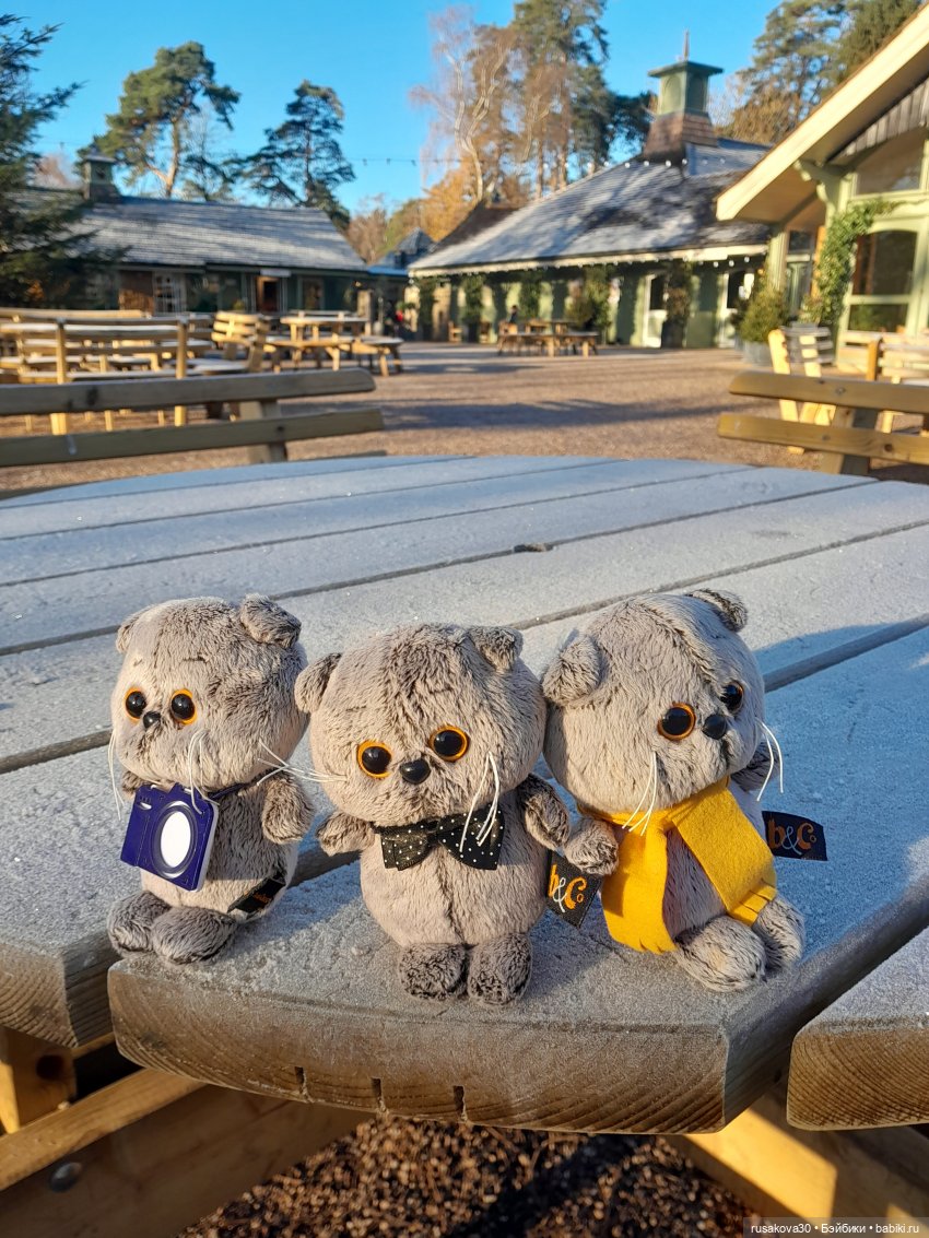 Продолжаем путешествовать с Басиками