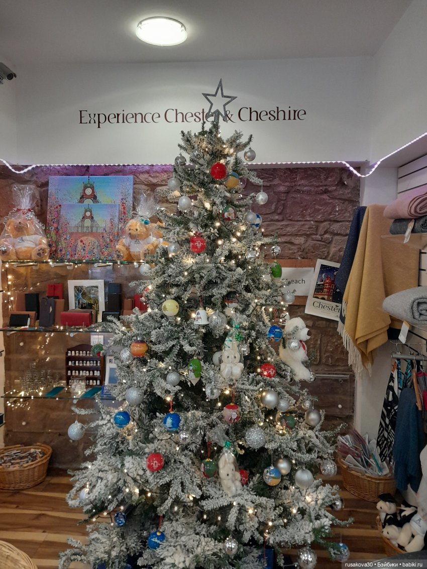 Продолжаем путешествовать с Басиками