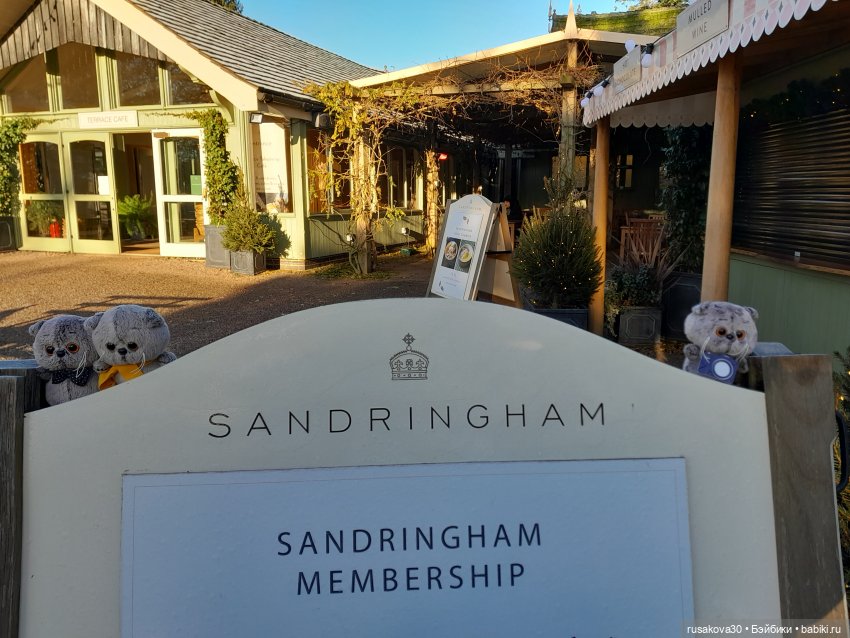 Продолжаем путешествовать с Басиками