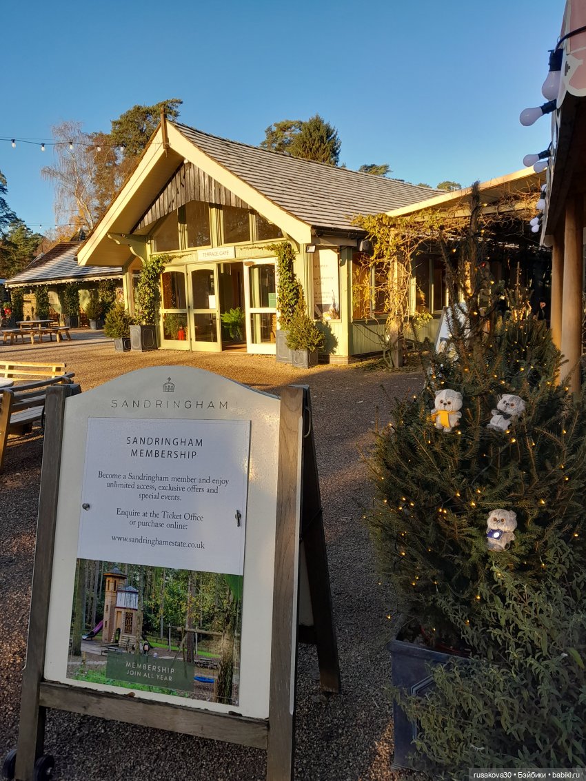 Продолжаем путешествовать с Басиками