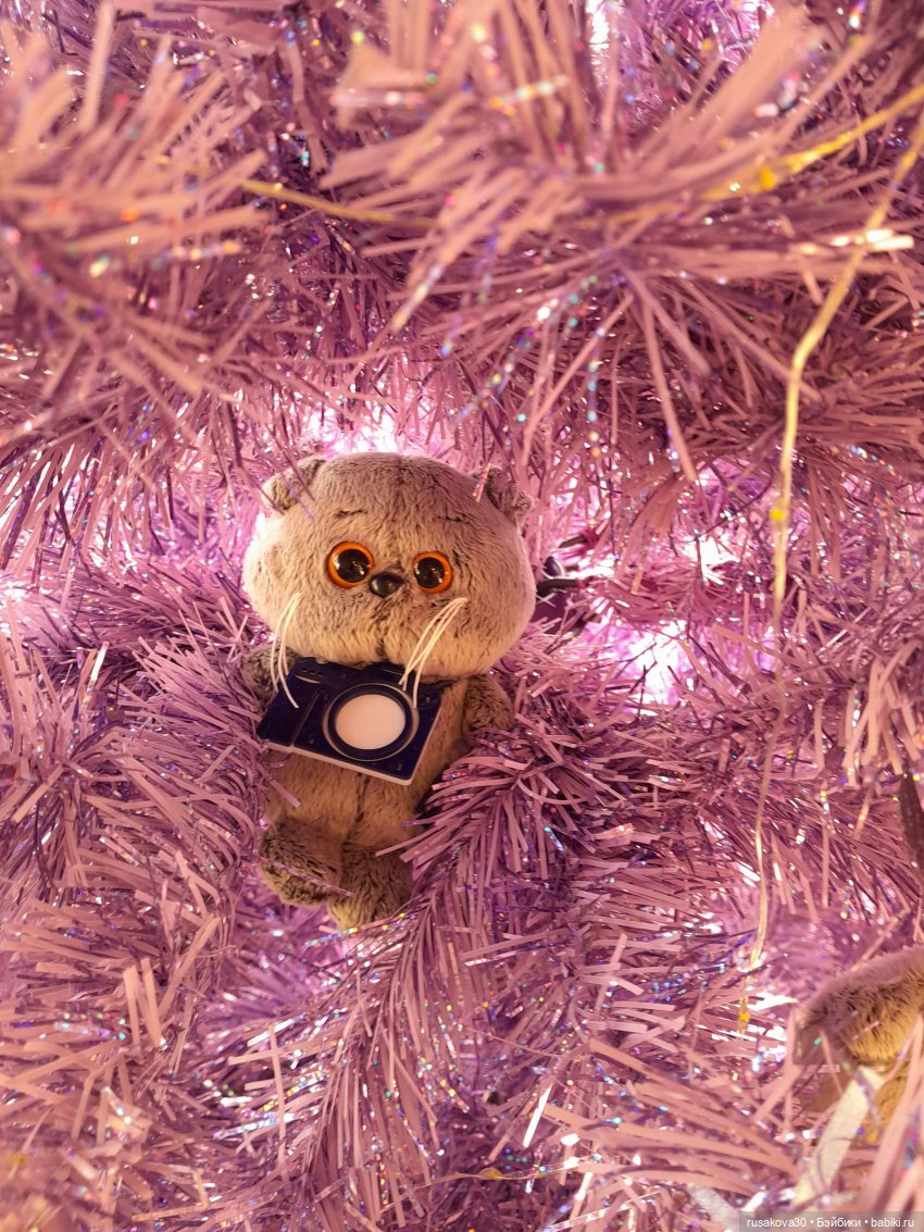 Продолжаем путешествовать с Басиками