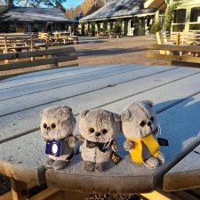 Продолжаем путешествовать с Басиками