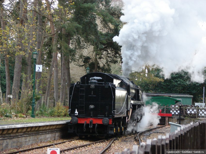 Знакомьтесь, это Гоша | Бэйбики Знакомьтесь, это Гоша — Плюшевые мишки и игрушки (Teddy Bear): винтаж (фото 9)