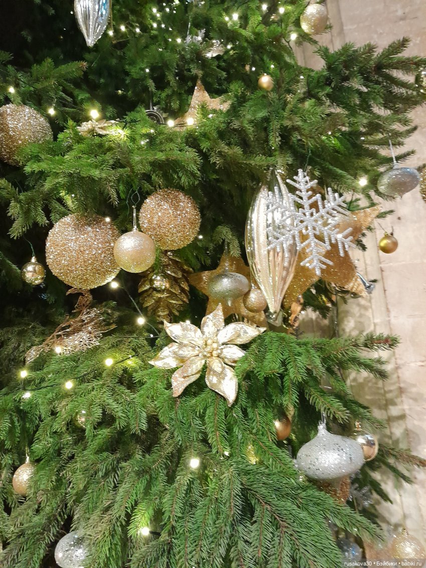 Кафедральный собор в городе Или (фото 8)