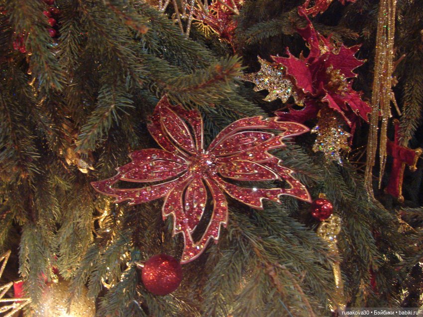 Кафедральный собор в городе Или