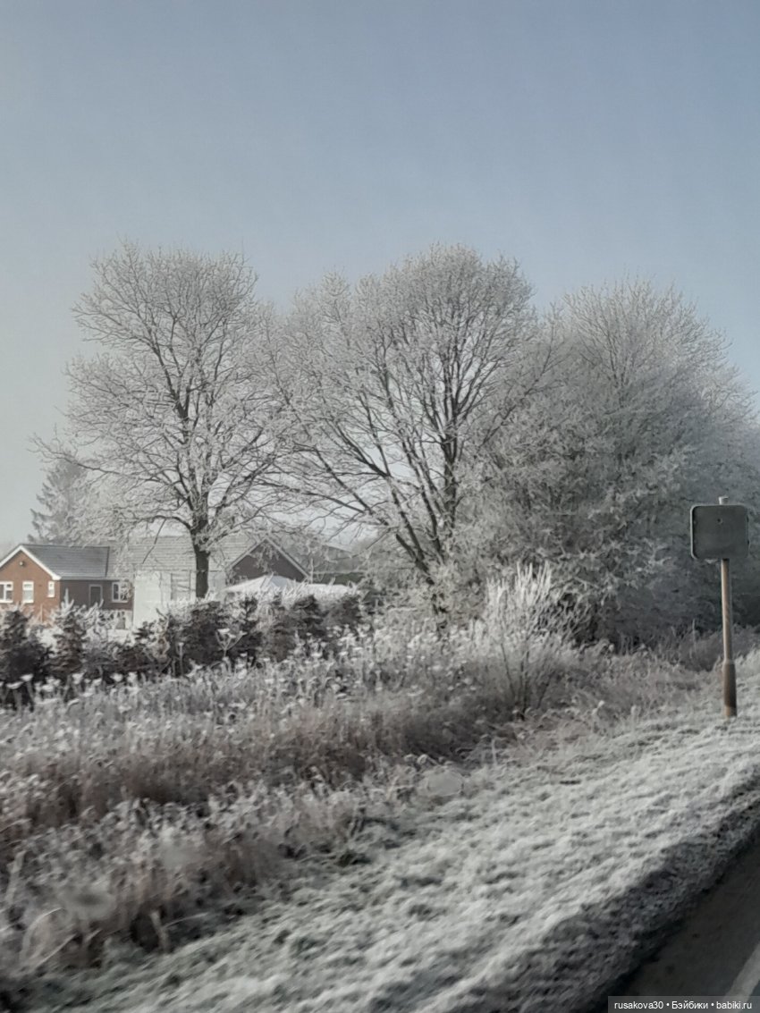 Прогулки Людвига и Нильса (фото 9)