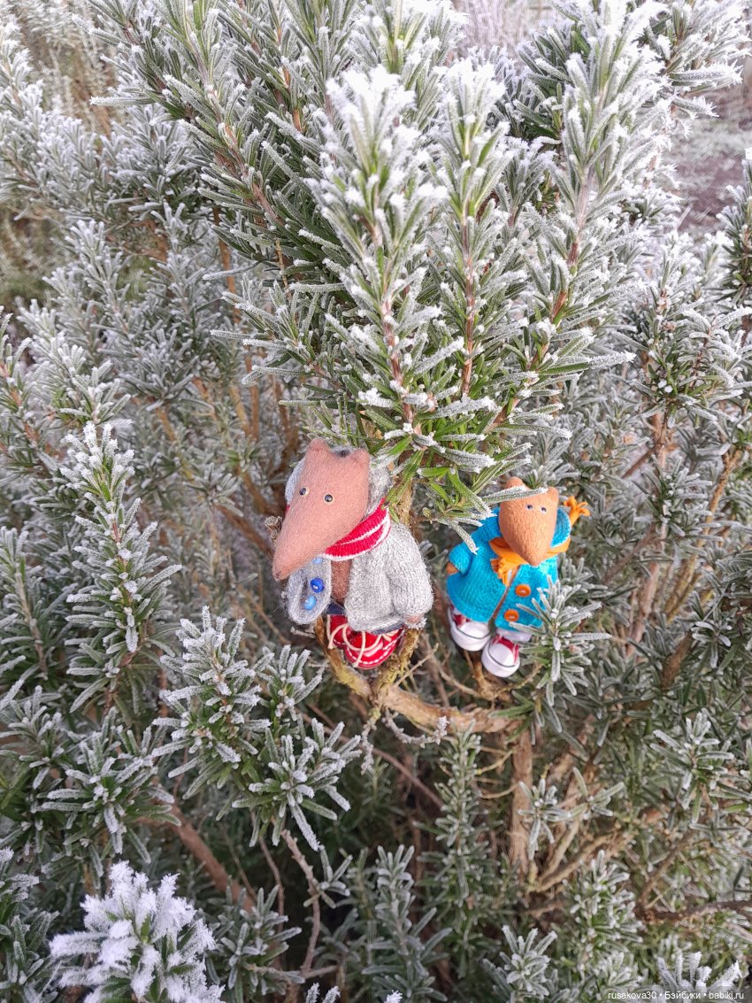 Прогулки Людвига и Нильса (фото 4)