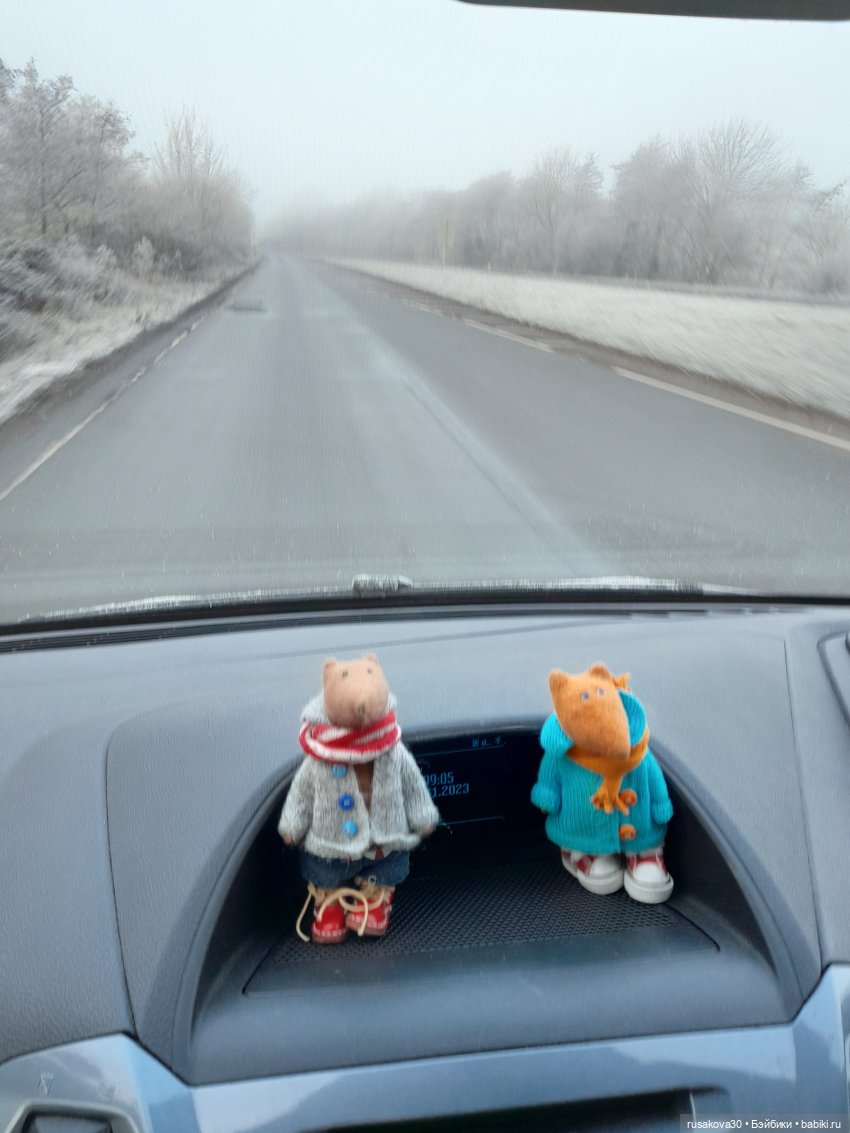 Прогулки Людвига и Нильса (фото 8)