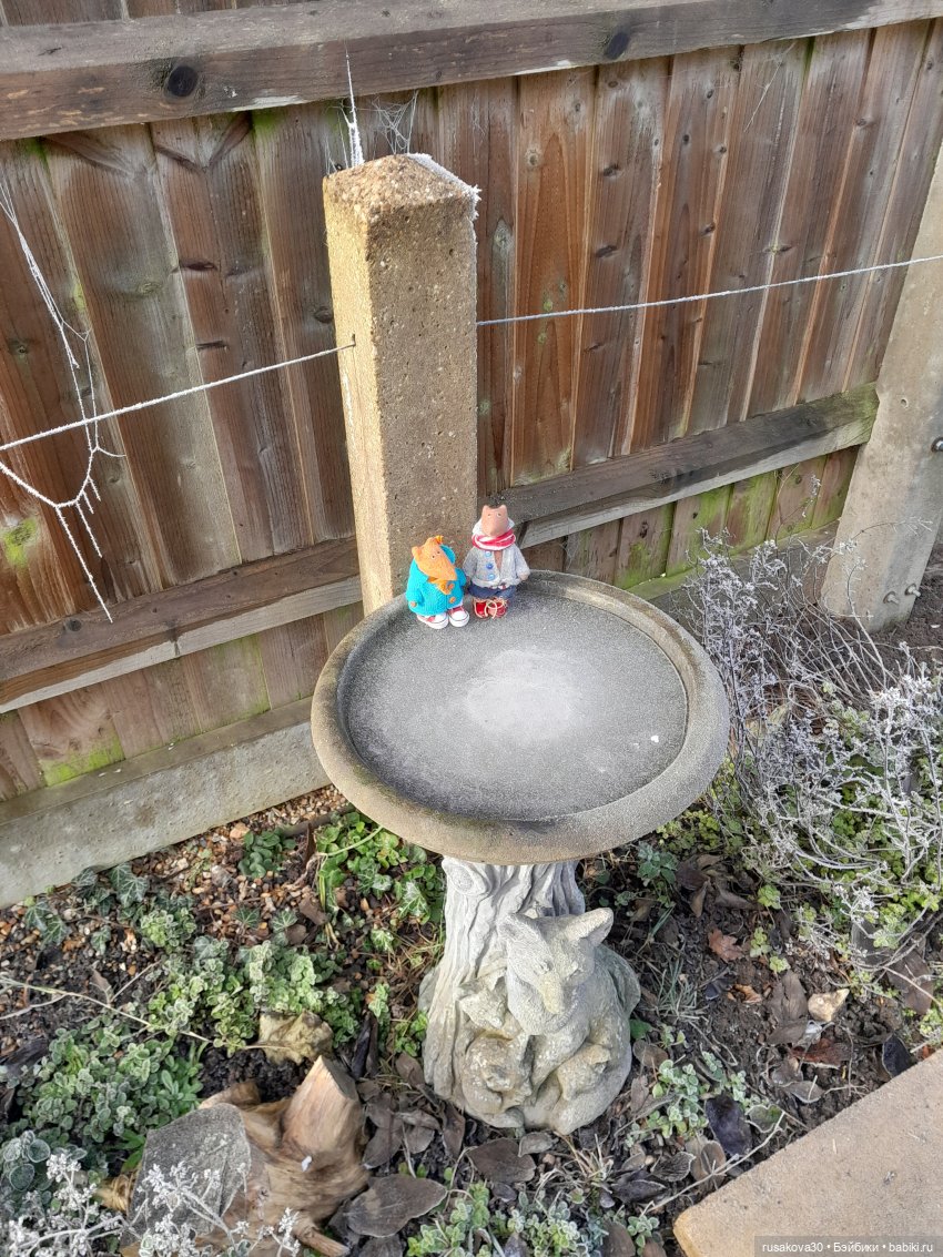 Прогулки Людвига и Нильса (фото 6)