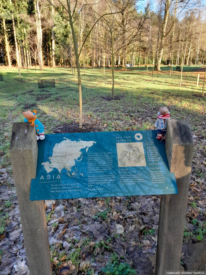 Прогулки Людвига и Нильса (фото 10)