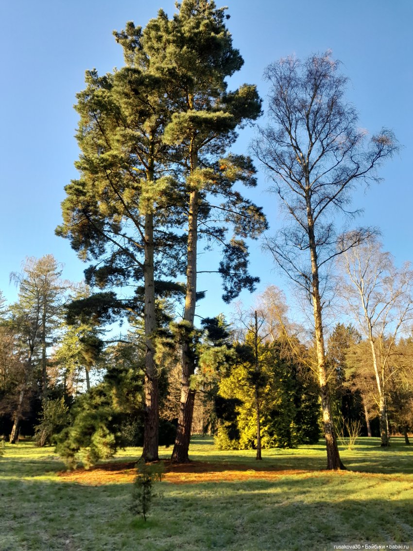 Прогулки Людвига и Нильса