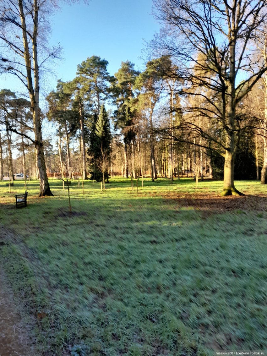 Прогулки Людвига и Нильса