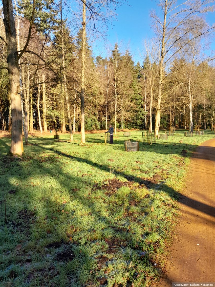 Прогулки Людвига и Нильса