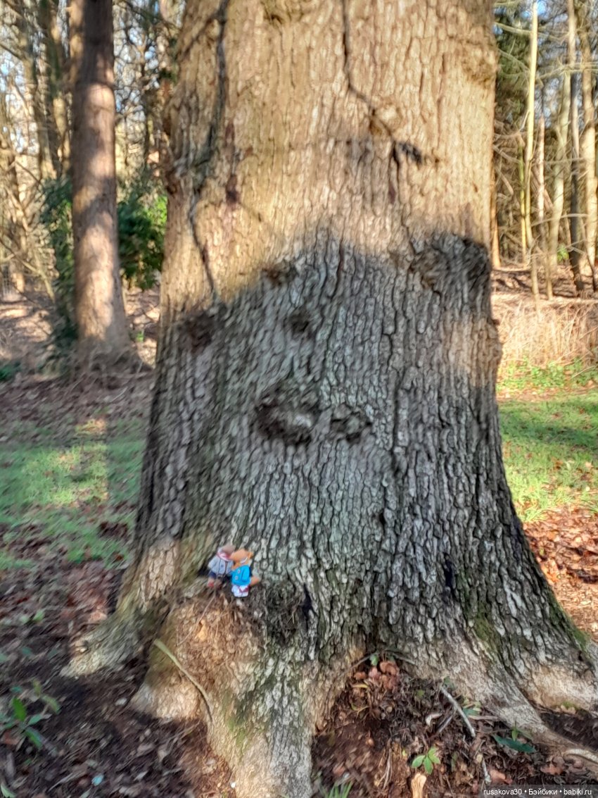 Прогулки Людвига и Нильса