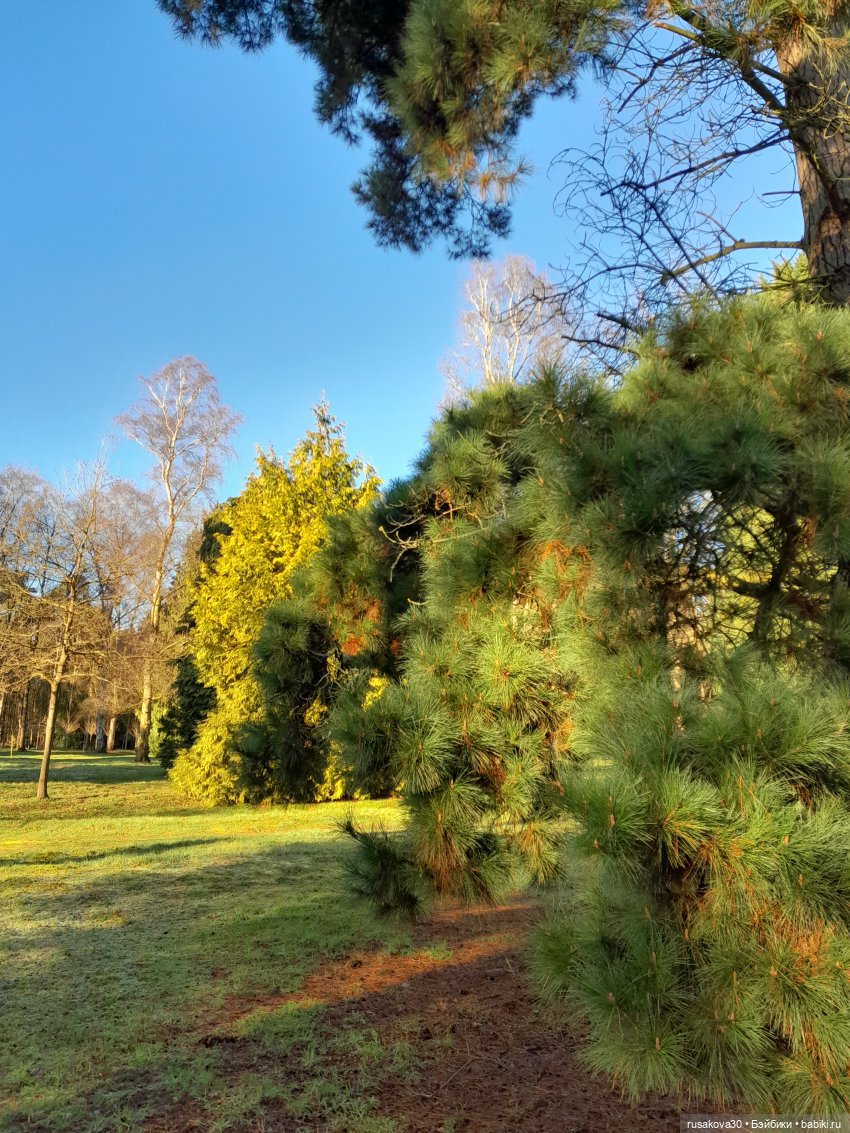 Прогулки Людвига и Нильса