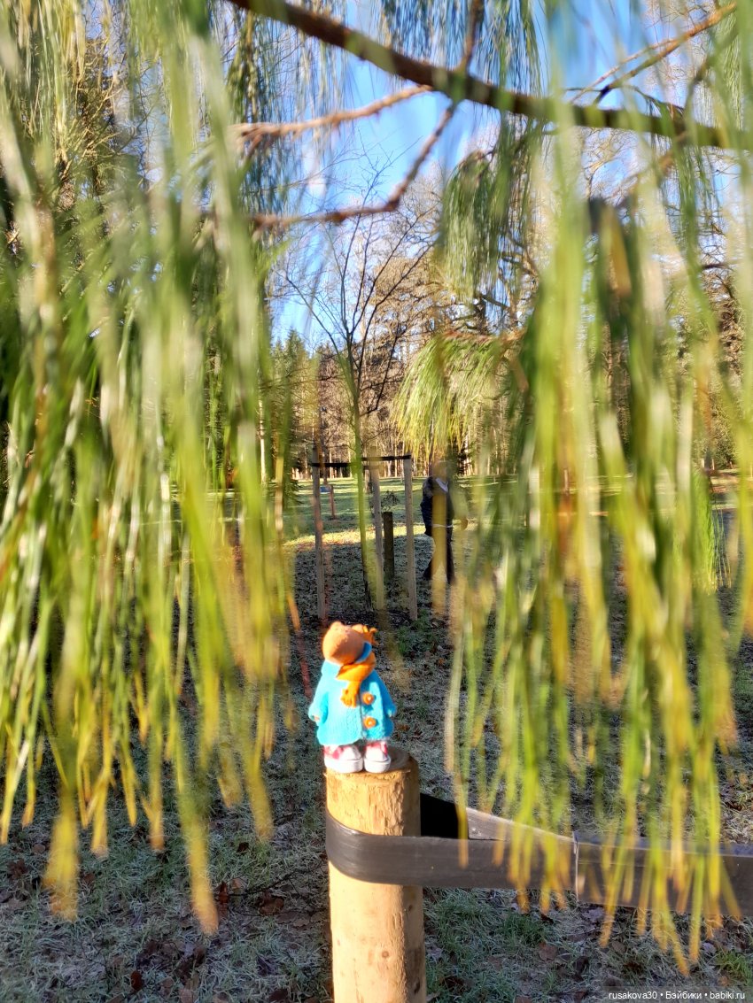 Прогулки Людвига и Нильса