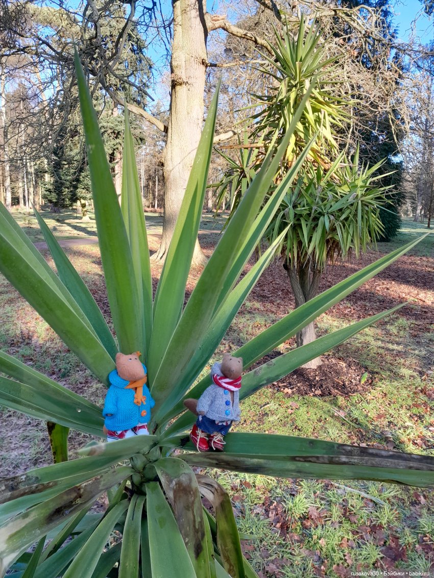 Прогулки Людвига и Нильса