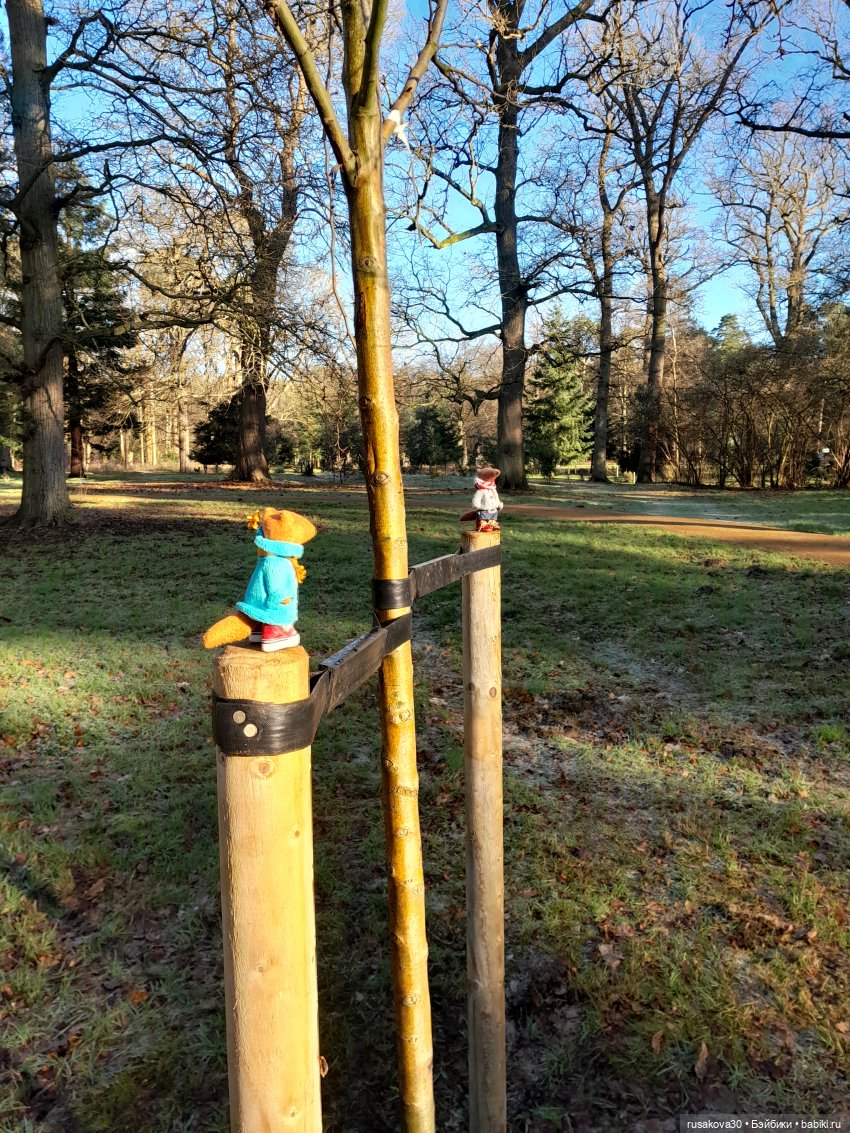 Прогулки Людвига и Нильса