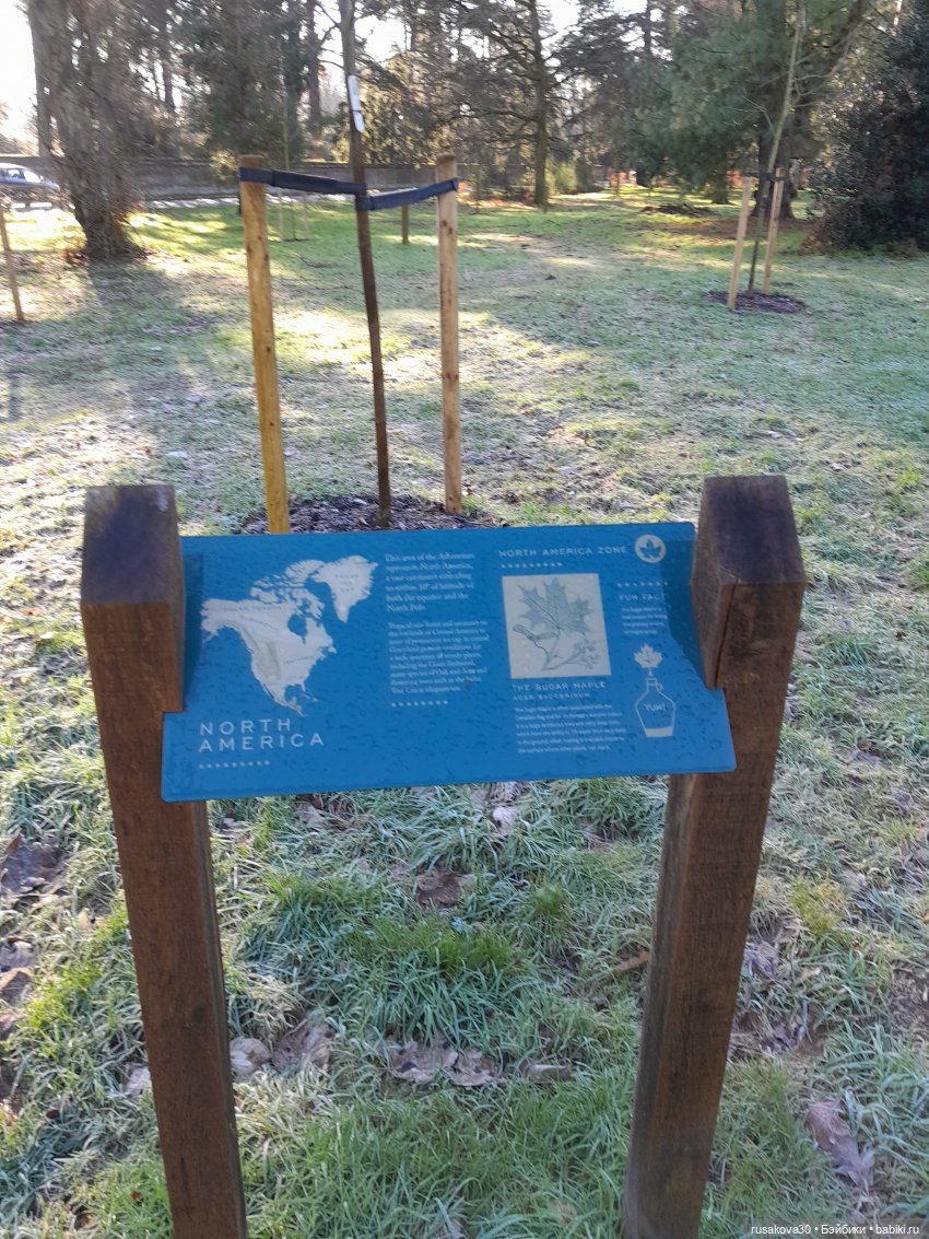 Прогулки Людвига и Нильса