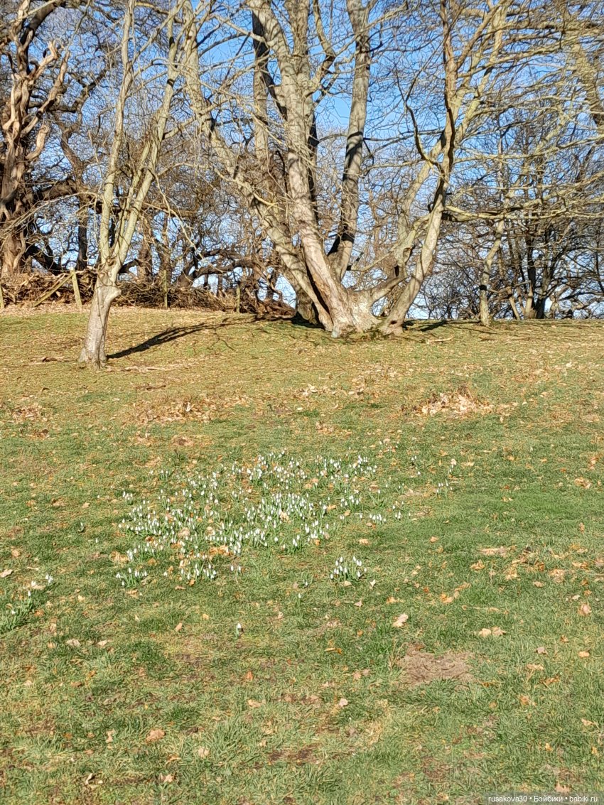 Поход за подснежниками — Куклы Nines d'Onil (Нинес): Миа (Mia) (фото 7)