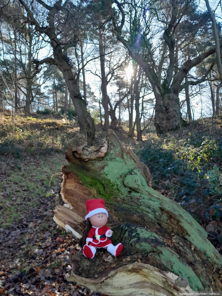 Поход за подснежниками — Куклы Nines d'Onil (Нинес): Миа (Mia) (фото 10)