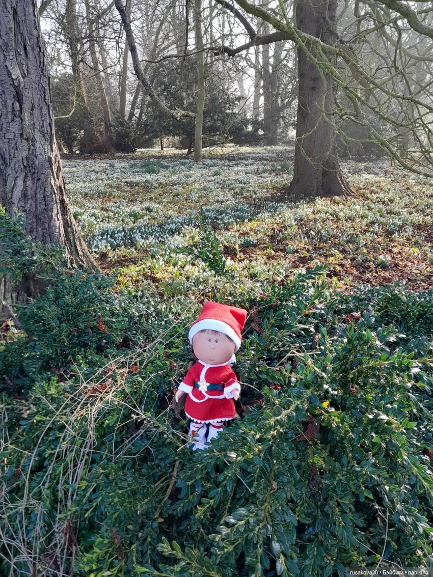 Поход за подснежниками (попытка №2) (фото 3)