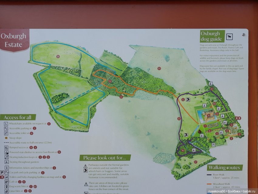 Поход за подснежниками (попытка №2) (фото 2)