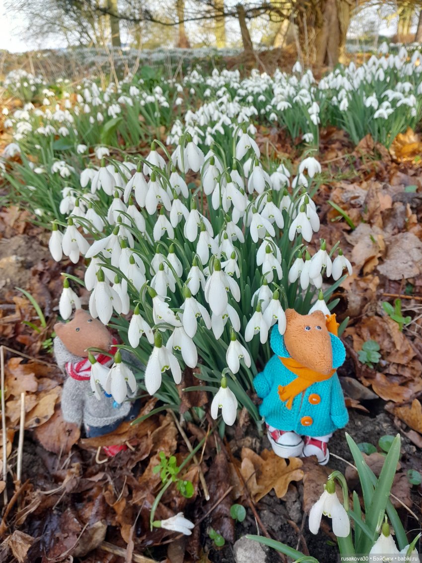 Поход за подснежниками (попытка №2)