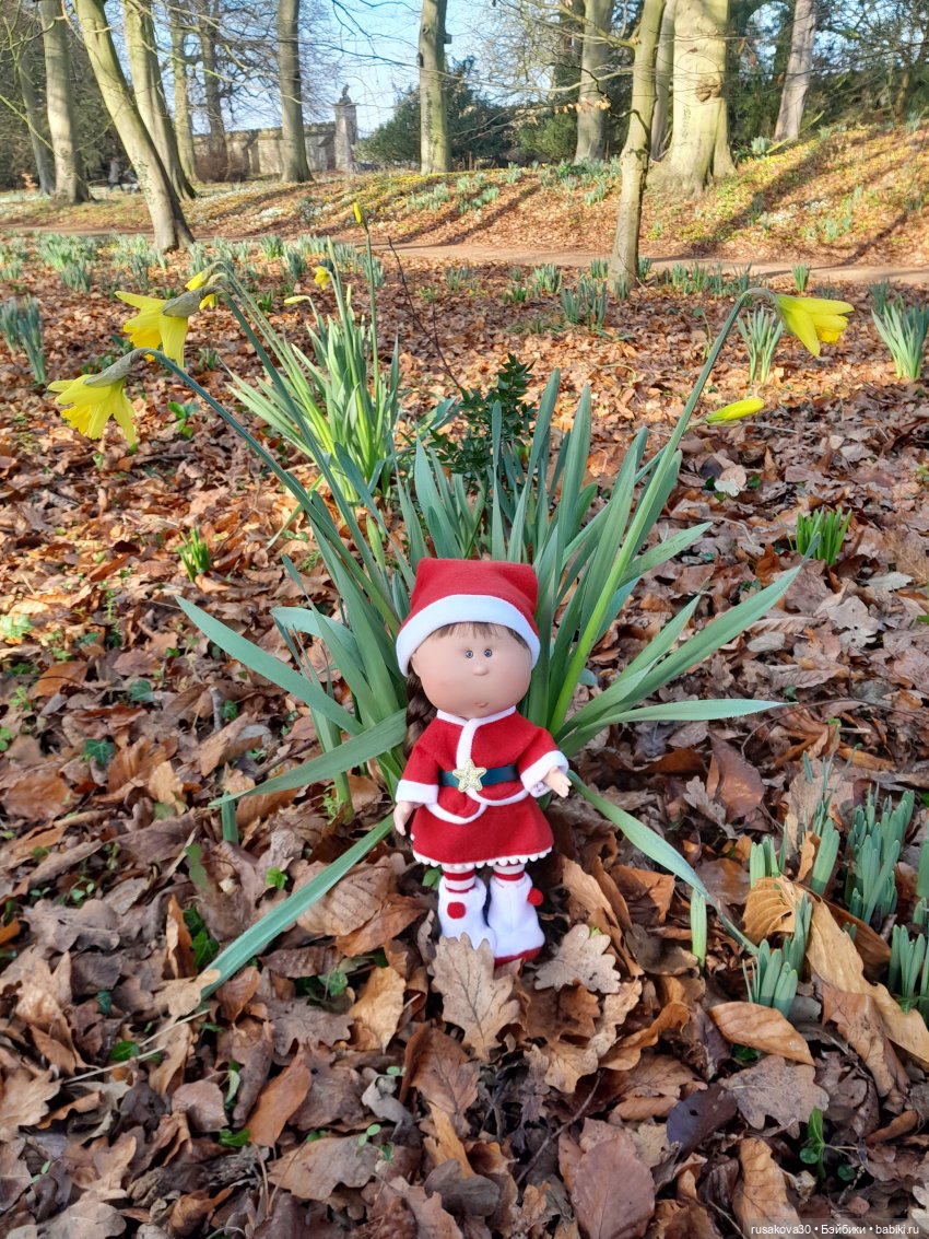 Поход за подснежниками (попытка №2) (фото 5)