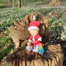 Поход за подснежниками (попытка №2).