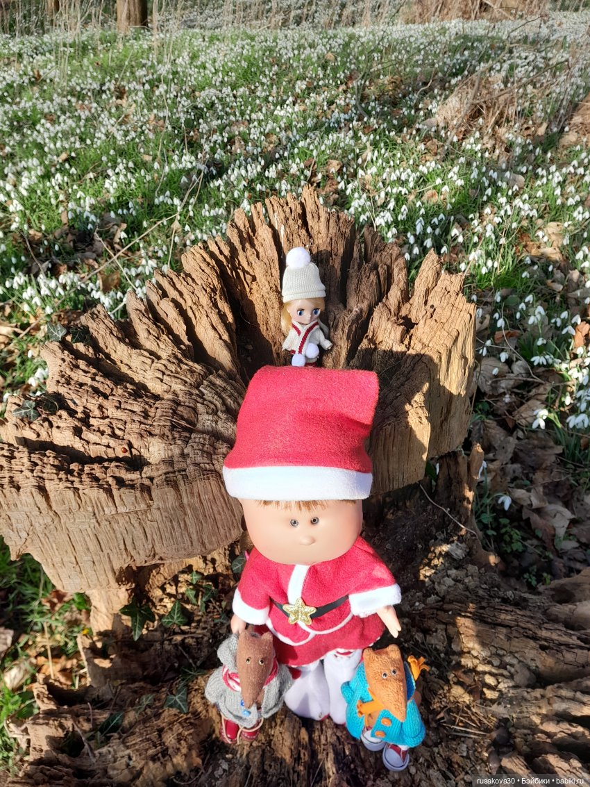 Поход за подснежниками (попытка №2)