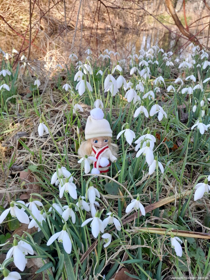 Поход за подснежниками (попытка №2)