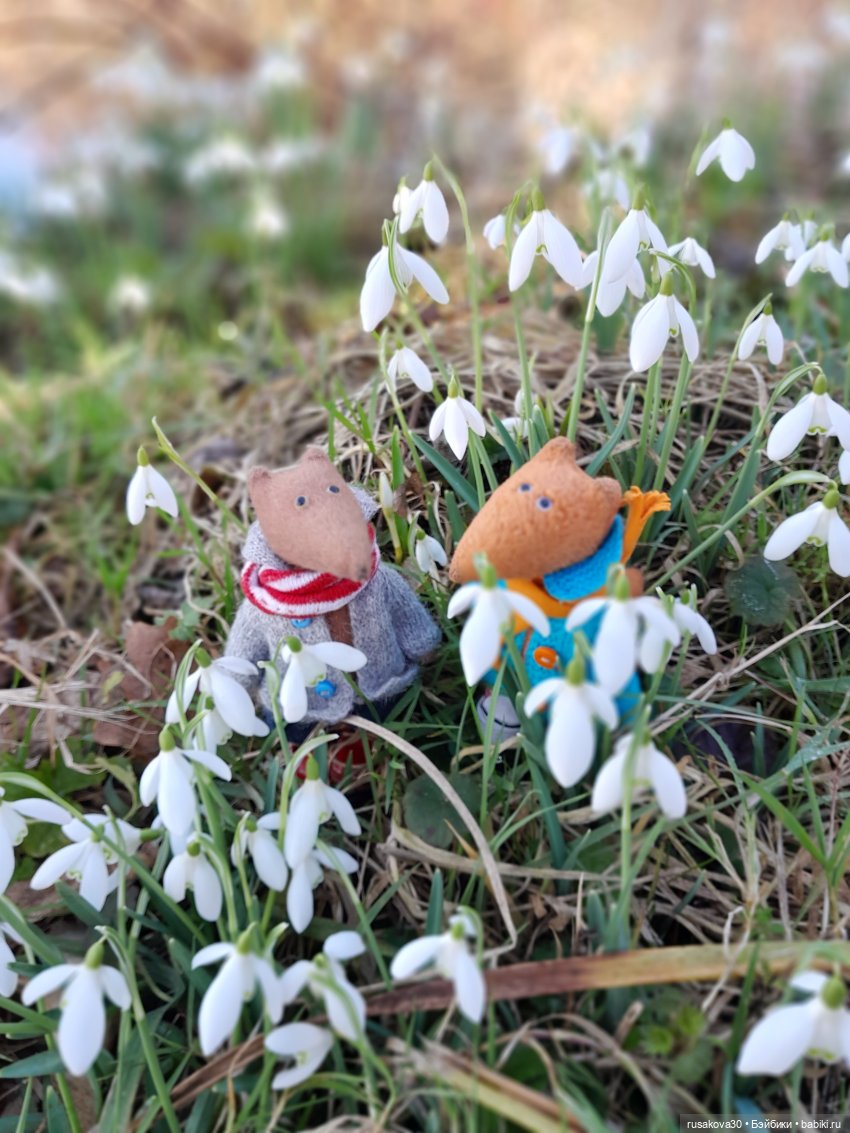 Поход за подснежниками (попытка №2)