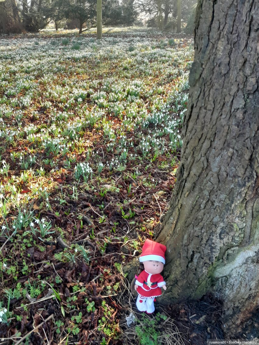 Поход за подснежниками (попытка №2)