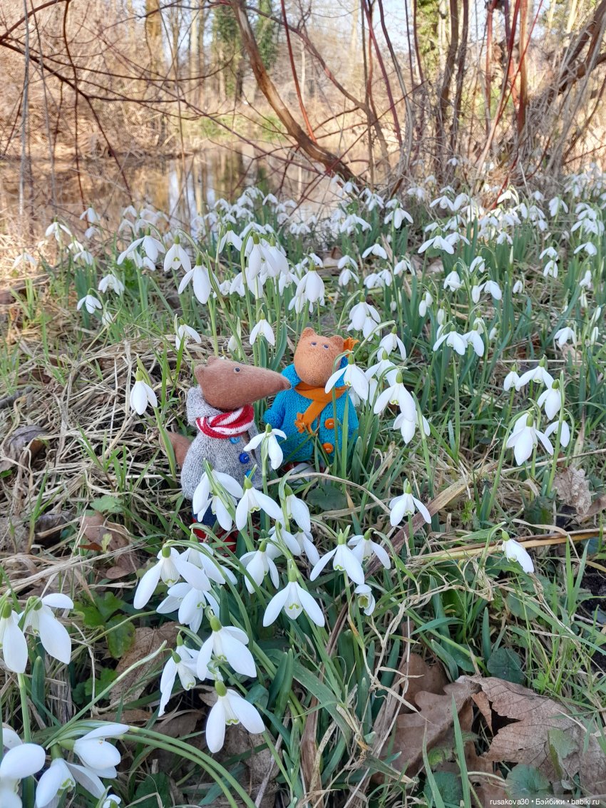 Поход за подснежниками (попытка №2)