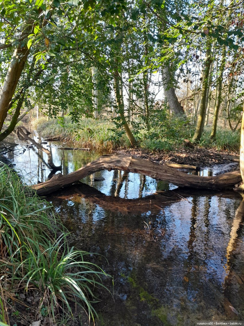 Прогулка по поместью Оксбру-холл (Oxburgh Hall)
