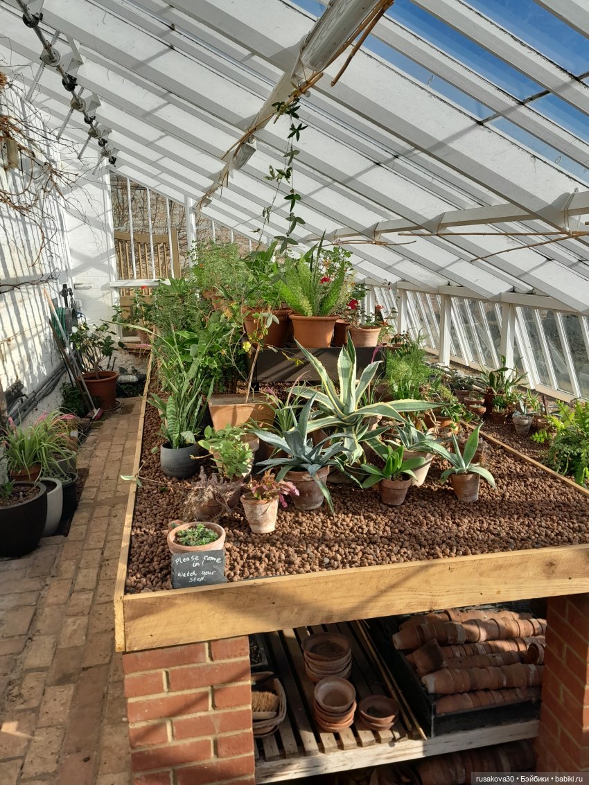 Прогулка по поместью Оксбру-холл (Oxburgh Hall)