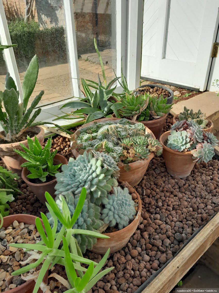 Прогулка по поместью Оксбру-холл (Oxburgh Hall)