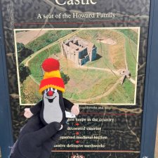 Руины замка Райзинг