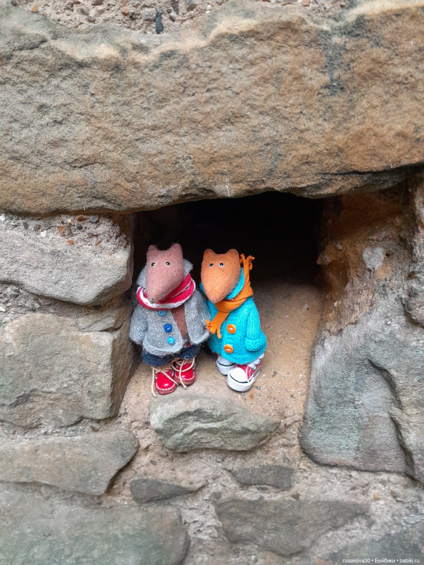 Руины замка Райзинг — Авторские мишки Тедди и друзья: фото
