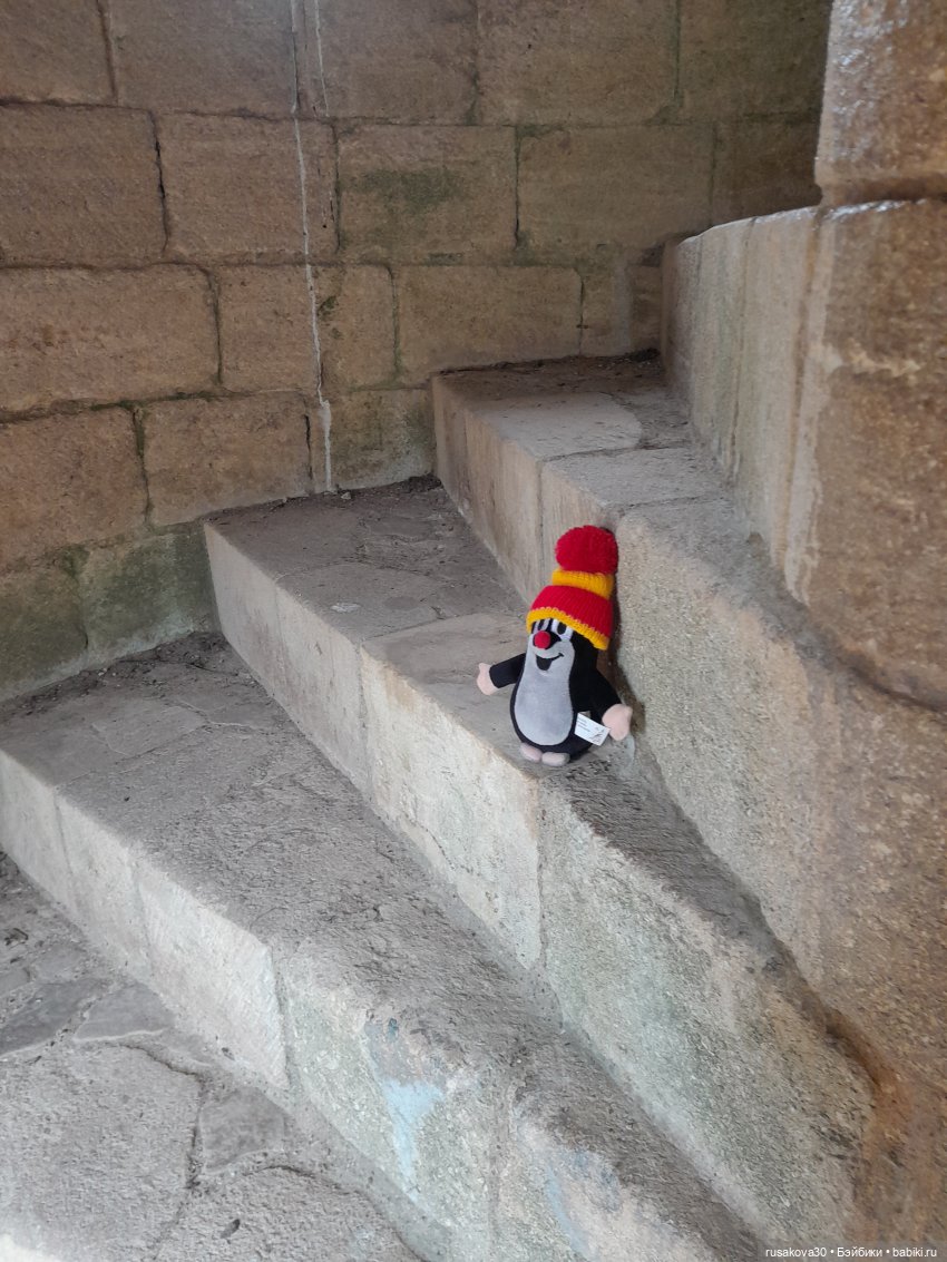 Руины замка Райзинг — Авторские мишки Тедди и друзья: фото