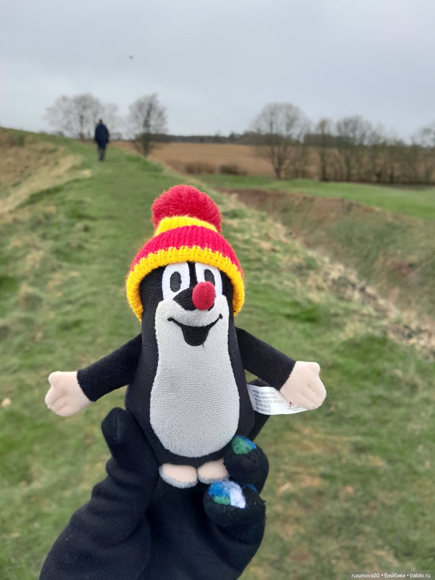 Руины замка Райзинг — Авторские мишки Тедди и друзья: фото (фото 7)